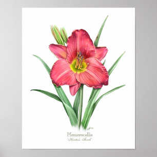 Red Daylily Original Art Print