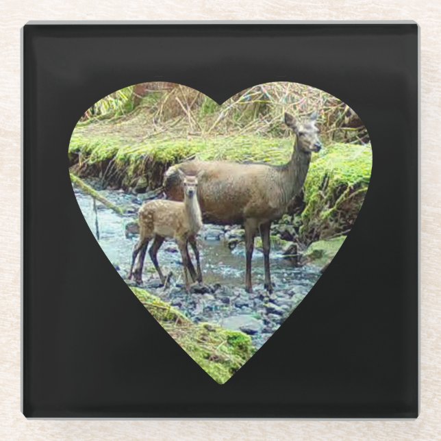 Red Deer Doe and Baby Deer Glass Coaster (Front)