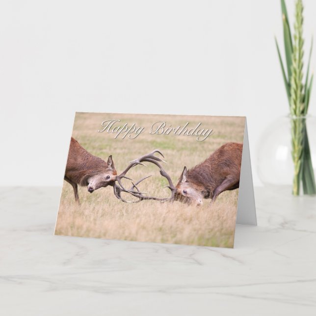 Red Deer Happy Birthday Greeting Card (Front)