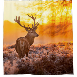 Red Deer in Morning Sun. deer,animal,wildlife,natu Shower Curtain