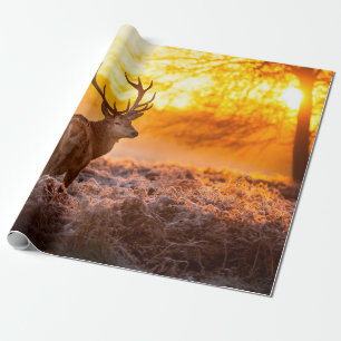 Red Deer in Morning Sun. deer,animal,wildlife,natu Wrapping Paper