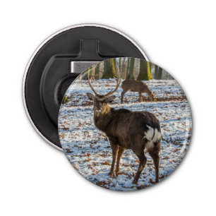 Red Deer in Snow Bottle Opener