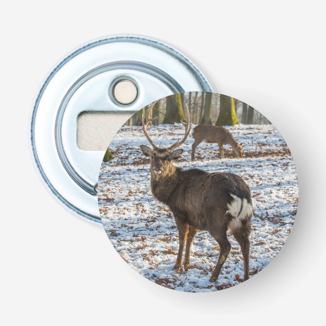 Red Deer in Snow Bottle Opener (Front)