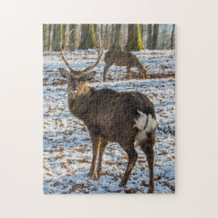 Red Deer in Snow Jigsaw Puzzle