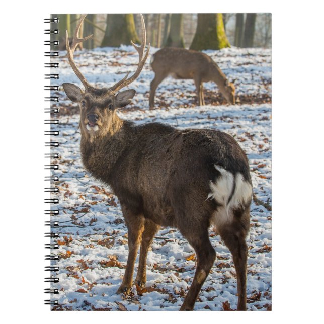 Red Deer in Snow Notebook (Front)