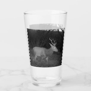 Red Deer Stag at Dusk Glass