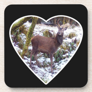 Red Deer Stag in Snow Hard Plastic 6 Coaster Set