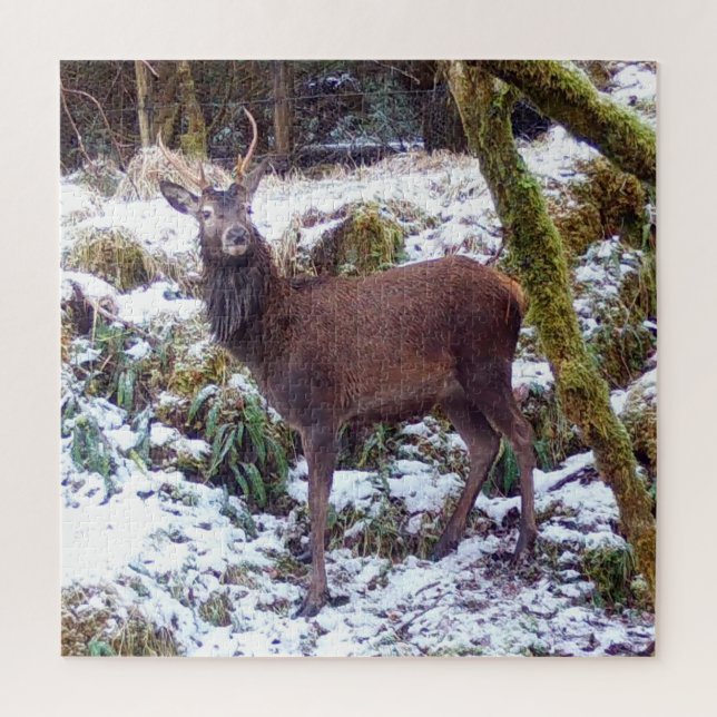 Red Deer Stag in the Snow Jigsaw Puzzle (Vertical)