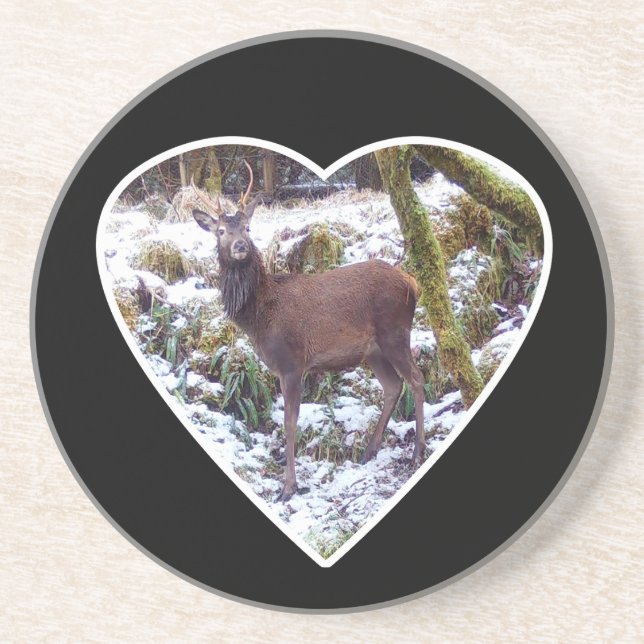 Red Deer Stag in the Snow Sandstone Coaster (Front)
