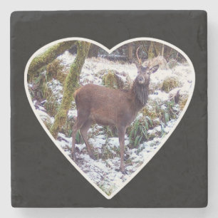 Red Deer Stag in the Snow Stone Coaster