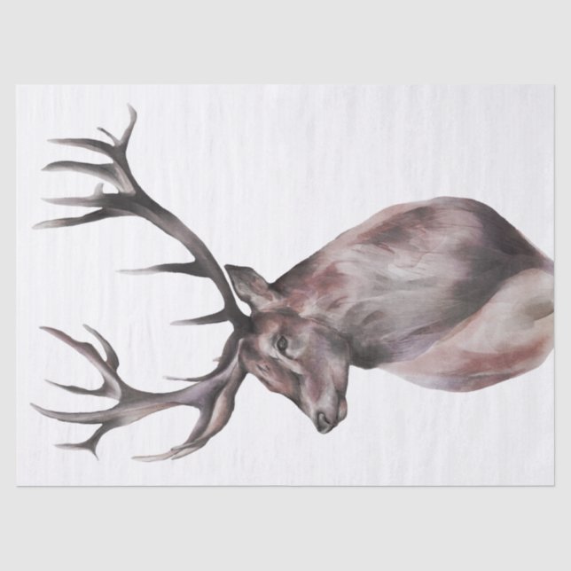 Red Deer Watercolor Tissue Paper (Front)