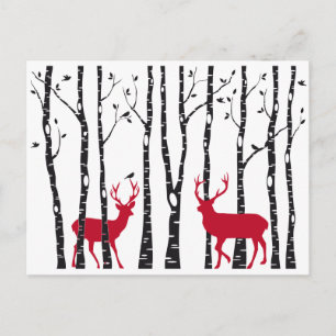 Red deers in birch tree forest postcard