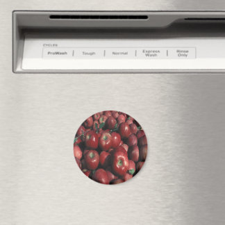Red Delicious Apple Crop Magnet