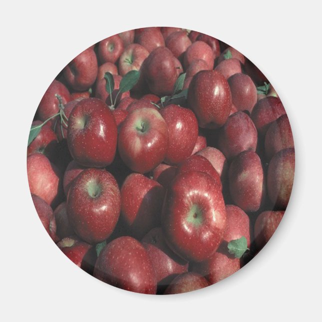 Red Delicious Apple Crop Magnet (Front)