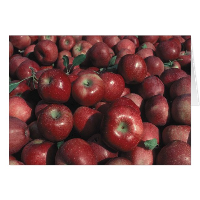 Red Delicious Apple Photo Blank Greeting (Front Horizontal)
