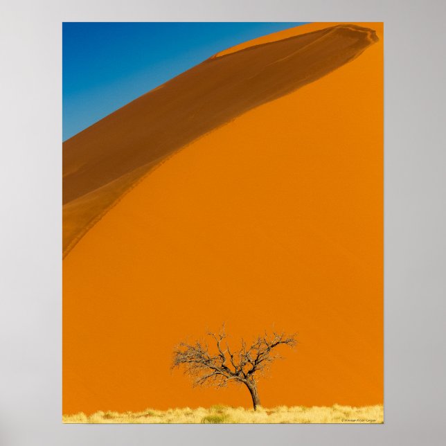 Red Desert of Namibia Poster (Front)