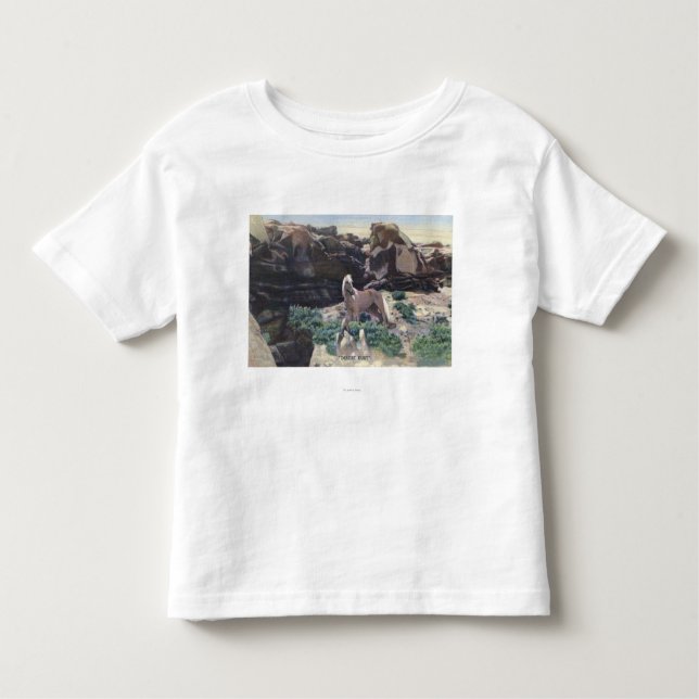 Red Desert, WY - Wild Palomino Stallion captured Toddler T-Shirt (Front)