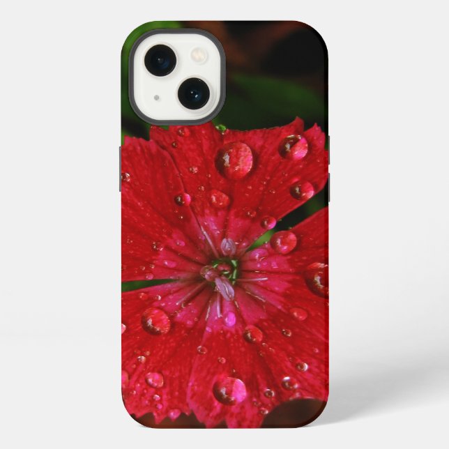 Red Dianthus With Raindrops iPhone Case (Back)