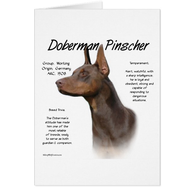 Red Doberman History  (Front)