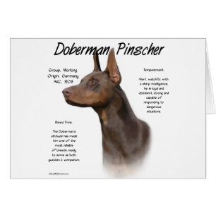 Red Doberman History 