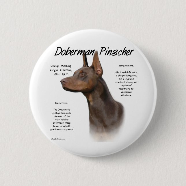 Red Doberman History  6 Cm Round Badge (Front)