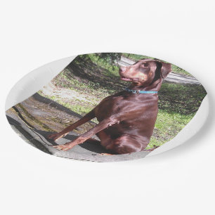 red doberman paper plate