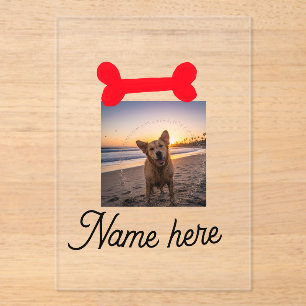 Red dog bone photo pet dog cat name simple gifts acrylic invitations