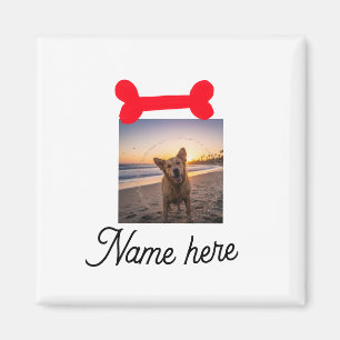 Red dog bone photo pet dog cat name simple gifts magnet