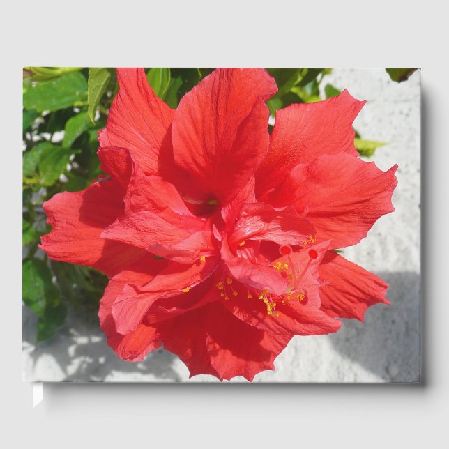 Red Double Hibiscus Flower Guest Book (Front)