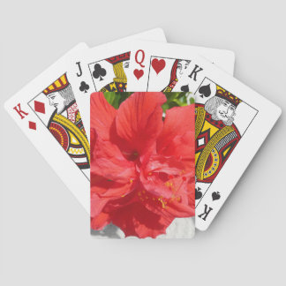 Red Double Hibiscus Flower Playing Cards