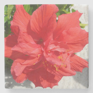 Red Double Hibiscus Flower Stone Coaster