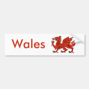 Red Dragon Bumper Sticker