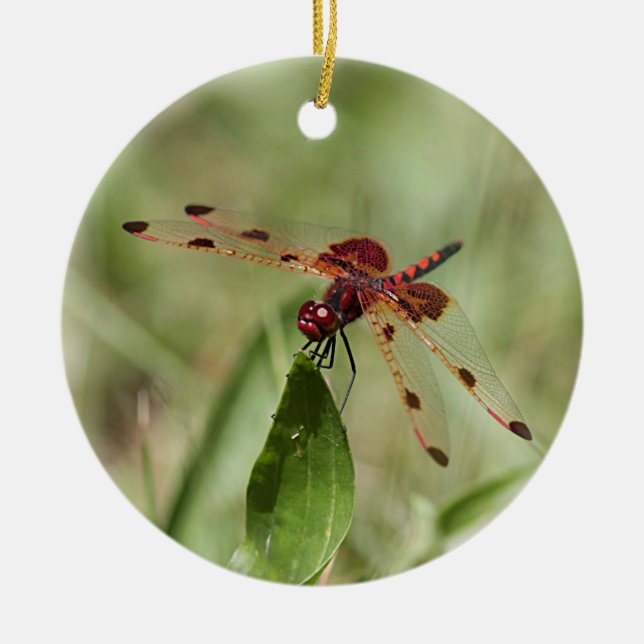 Red dragonfly ceramic tree decoration (Front)