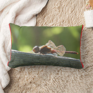Red Dragonfly in the Sun Pillow