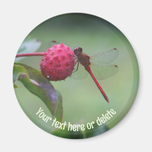 Red Dragonfly Nature Personalized Magnet