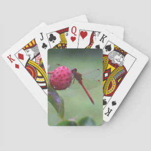 Red Dragonfly On Dogwood Fruit Insect  Playing Cards
