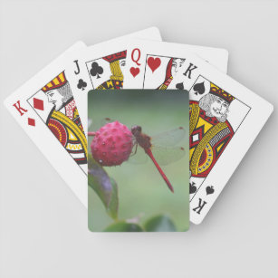 Red Dragonfly On Dogwood Fruit Insect  Playing Cards