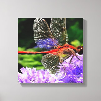 Red Dragonfly on Violet Purple Flowers Canvas Print