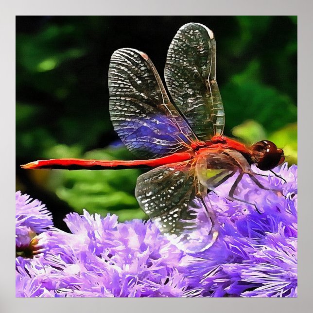 Red Dragonfly on Violet Purple Flowers Poster (Front)