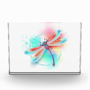 Red dragonfly on watercolor background photo block