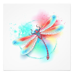 Red dragonfly on watercolor background photo print