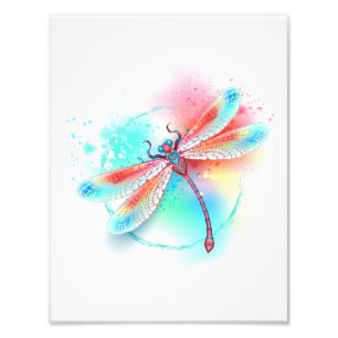Red dragonfly on watercolor background photo print