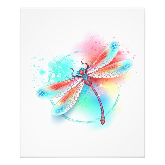 Red dragonfly on watercolor background photo print (Front)