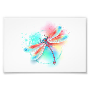 Red dragonfly on watercolor background photo print