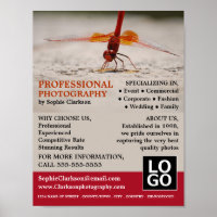 Red Dragonfly, Photography, Photographer Hire