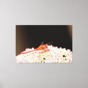 Red Dragonfly With Pink Canvas Print