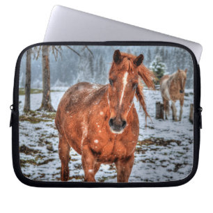 Red Dun Pony Horse, Snow and Forest - Equine Photo Laptop Sleeve