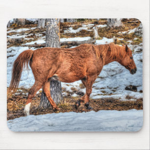 Red Dun Ranch Horse Equine Photography Mouse Pad
