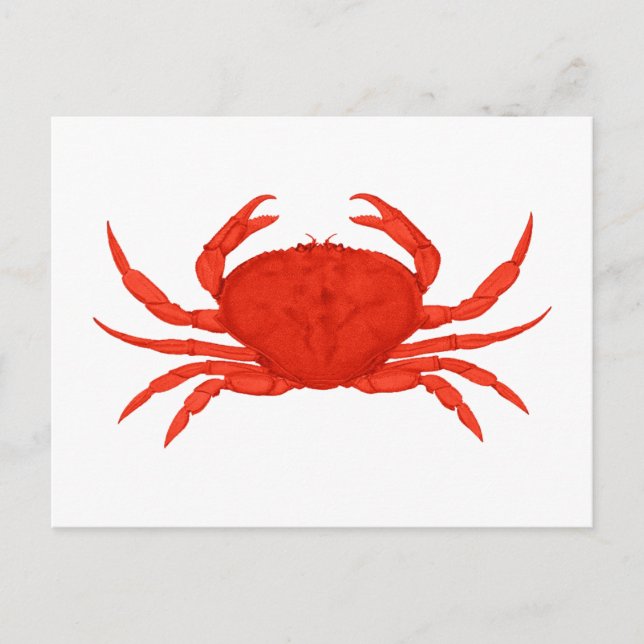 Red Dungeness Crab Logo Postcard (Front)