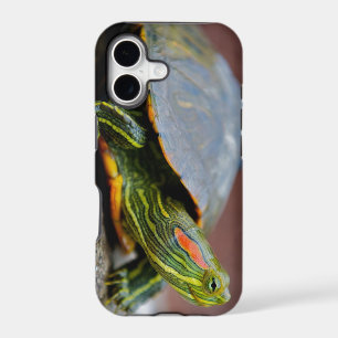 Red-eared Slider Side View